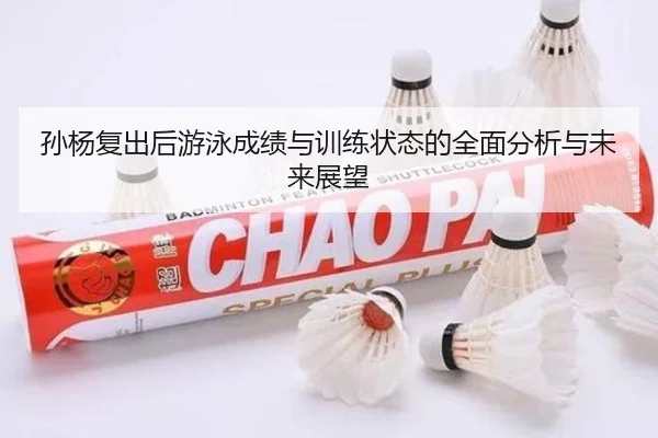 孙杨复出后游泳成绩与训练状态的全面分析与未来展望